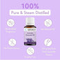 Lucacci Pure Lavender Essential Oil - 30ml